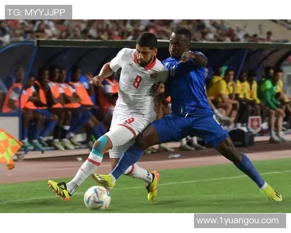 2019年非洲杯加纳与突尼斯激战回顾与精彩瞬间分析